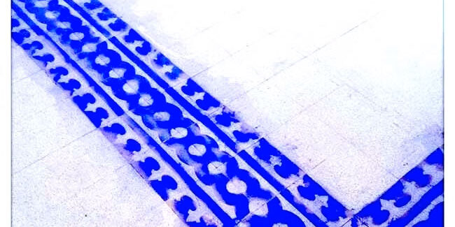 Vanitas - Guendalina Salini