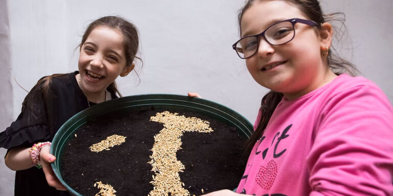 Io sono un filo d'erba che trema - Guendalina Salini
