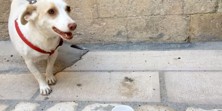 Con la parola Nu - Guendalina Salini