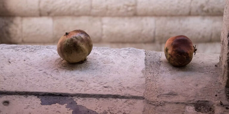 Patria Invisibile-Siria - Guendalina Salini