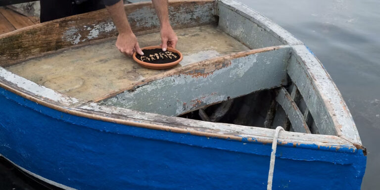 Io sono un filo d'erba che trema - Guendalina Salini