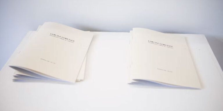 Pachamama Concrete - Guendalina Salini