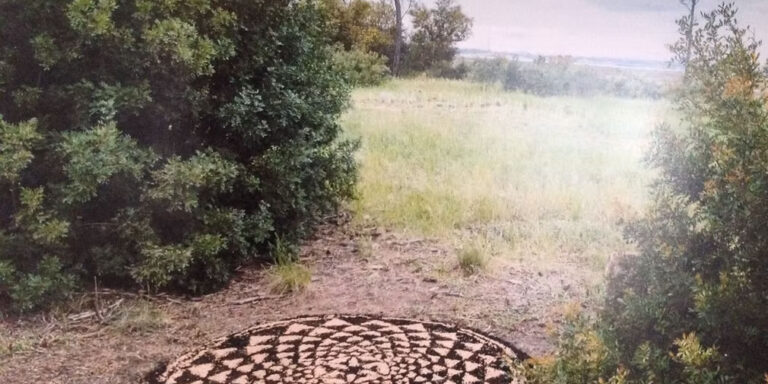 Io sono un filo d'erba che trema - Guendalina Salini