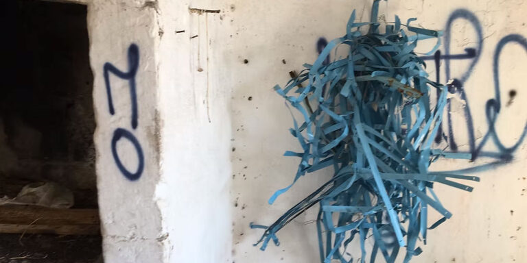 Con la parola Nu - Guendalina Salini