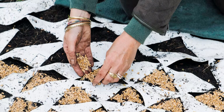 Io sono un filo d'erba che trema - Guendalina Salini