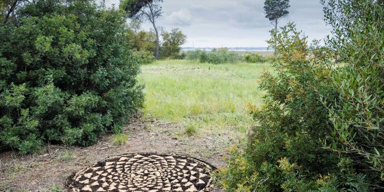 Io sono un filo d'erba che trema - Guendalina Salini