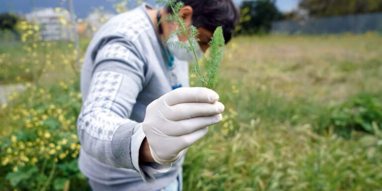 Corale Corviale - Guendalina Salini