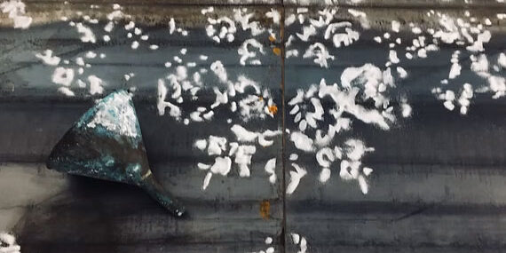 Patria invisibile - Guendalina Salini