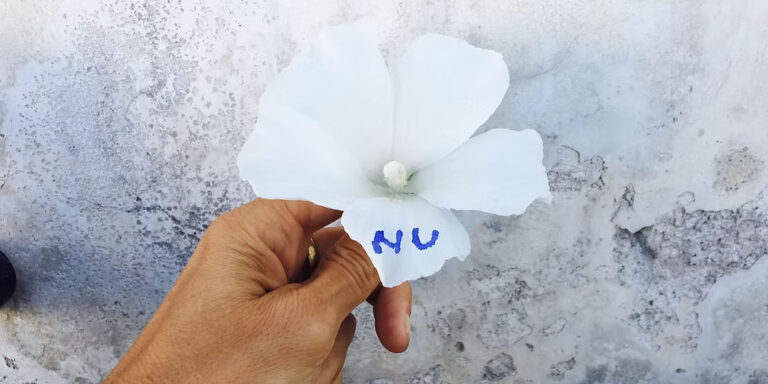 Con la parola Nu - Guendalina Salini