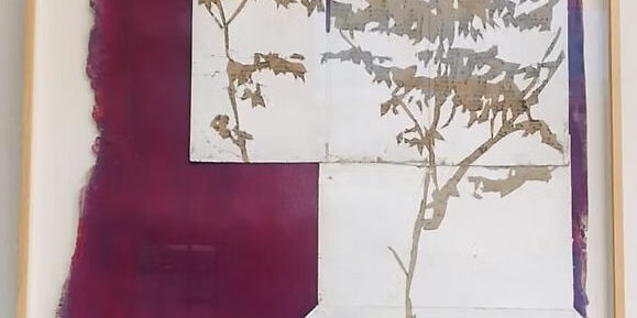 Bosco segreto - Guendalina Salini