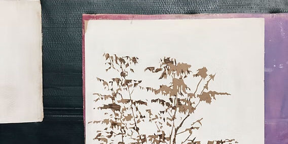 Bosco segreto - Guendalina Salini