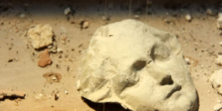 La città personale - Guendalina Salini