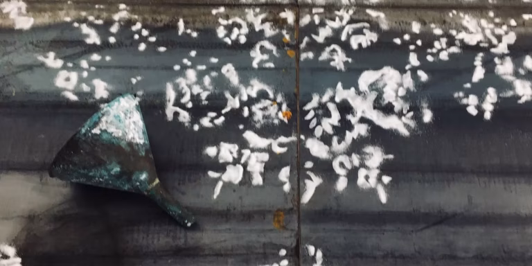 Patria invisibile - Guendalina Salini