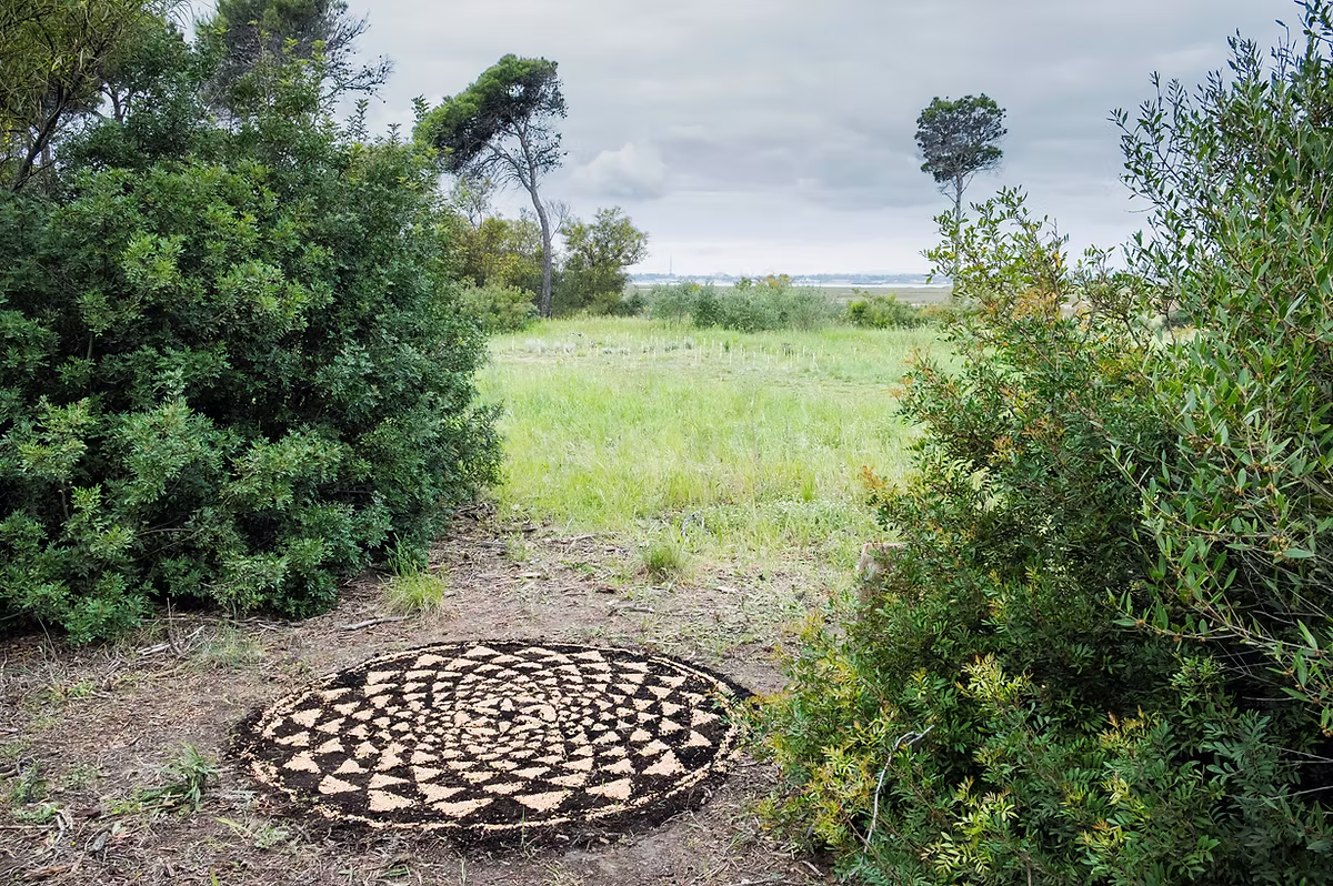 Io sono un filo d'erba che trema - Guendalina Salini