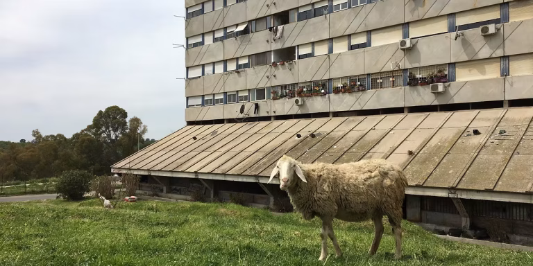 Corale Corviale - Guendalina Salini