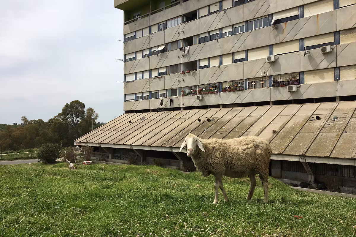 Corale Corviale - Guendalina Salini