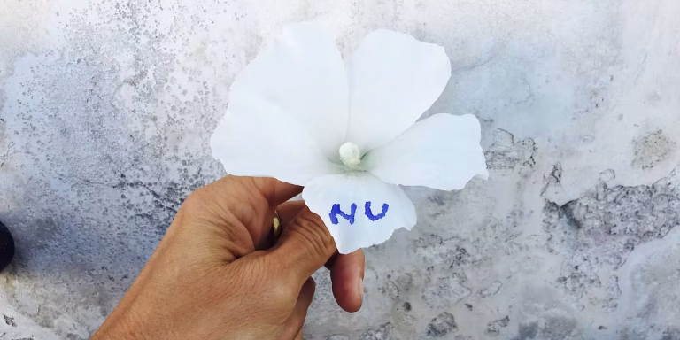 Con la parola Nu - Guendalina Salini